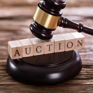 Did somebody say... Online Auction?