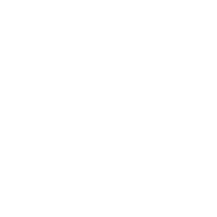 Core_Values_Icons2-04