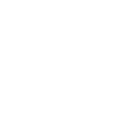 Core_Values_Icons2-06